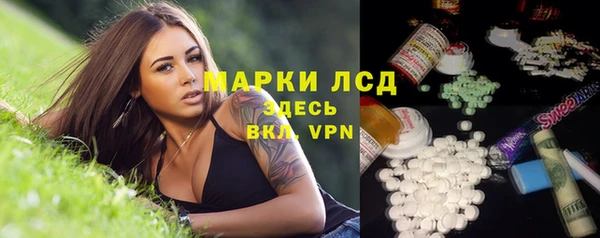 гидра Абаза