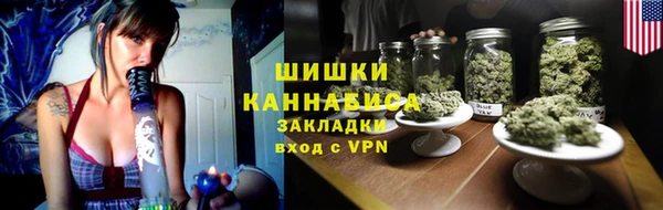гидра Абаза