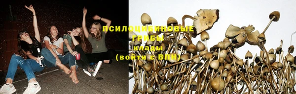 дживик Абдулино