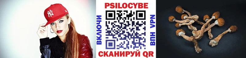 продажа наркотиков  Зерноград  Галлюциногенные грибы мухоморы 